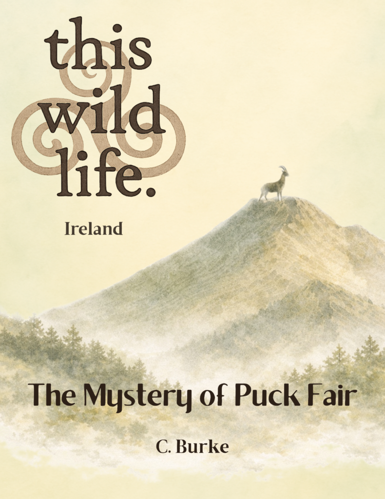 Puck Fair Mystery front cover